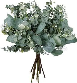 Bulk Artificial Silver Dollar Eucalyptus Leaves Picks Stems and Faux Branches for Vase Bouquets Floral Arrangement Wreath Rustic Farmhouse Greenery Decoration Bulk Artificial Silver Dollar Eucalyptus Leaves Picks Stems and Faux Branches for Vase Bouquets Floral Arrangement Wreath Rustic Farmhouse Greenery Decoration