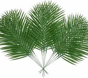 14Pcs Artificial Palm Leaves, 20.4" Outdoor Faux Palm Fronds Fake Tropical Palm Leaves For Palm Sunday Flower Arrangement Wedding Birthday Party Home Spring Summer Decor 14Pcs Artificial Palm Leaves, 20.4" Outdoor Faux Palm Fronds Fake Tropical Palm Leaves For Palm Sunday Flower Arrangement Wedding Birthday Party Home Spring Summer Decor