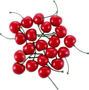 PETCTN 20pcs Red Artificial Cherries, Fake Fruit Decor Simulation Cherry Model Lifelike Fruit Cherry Ornament, Home Kitchen Party Decoration Desk Ornament Photography Prop PETCTN 20pcs Red Artificial Cherries, Fake Fruit Decor Simulation Cherry Model Lifelike Fruit Cherry Ornament, Home Kitchen Party Decoration Desk Ornament Photography Prop