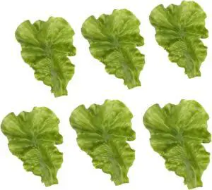 6PCS Realistic Fake Lettuce Food for Display 6PCS Realistic Fake Lettuce Food for Display