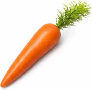 Vaulted Skulls & Co Fake Carrot | Plastic Carrot | Realistic Fake Vegetable | Artificial Food | Lifelike Vegetable Decoration | Easter Decorations | Orange | 9" Vaulted Skulls & Co Fake Carrot | Plastic Carrot | Realistic Fake Vegetable | Artificial Food | Lifelike Vegetable Decoration | Easter Decorations | Orange | 9"