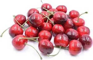 Aliotech 26pcs Artificial Lifelike Simulation Small Red Black Cherries Fake Fruit Model Home House Kitchen Party Decoration Desk Ornament Aliotech 26pcs Artificial Lifelike Simulation Small Red Black Cherries Fake Fruit Model Home House Kitchen Party Decoration Desk Ornament