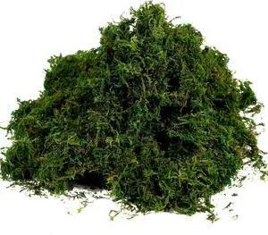 Artificial Moss Fake Green Grass for Centerpieces Home Kitchen Garden Decor (3.5OZ, Fresh) Artificial Moss Fake Green Grass for Centerpieces Home Kitchen Garden Decor (3.5OZ, Fresh)