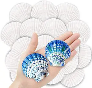 36PCS Natural Scallop Shells for Crafts, 2-3 in White Seashells for Paint 36PCS Natural Scallop Shells for Crafts, 2-3 in White Seashells for Paint