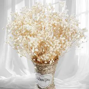 2500+ Dried Babys Breath Flowers Bulk, 17'' Ivory White Gypsophila Bouquet 2500+ Dried Babys Breath Flowers Bulk, 17'' Ivory White Gypsophila Bouquet