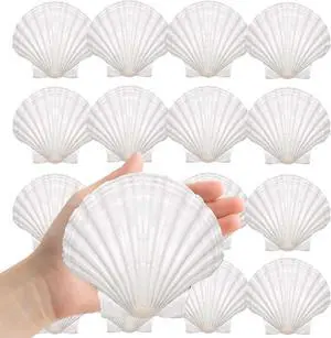 Large Natural Sea Shells 4''-5'' White Scallop Shells 8PCS for DIY Craft Making, Baking, Hand Painting, Ocean Themed Party and Home Decor Large Natural Sea Shells 4''-5'' White Scallop Shells 8PCS for DIY Craft Making, Baking, Hand Painting, Ocean Themed Party and Home Decor