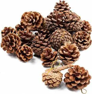 JOHOUSE 18 PCS Hanging Natural Pine Cones (1.5" - 2.5"), Rustic Pinecones JOHOUSE 18 PCS Hanging Natural Pine Cones (1.5" - 2.5"), Rustic Pinecones