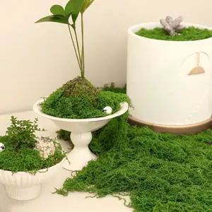 5.3oz Fake Moss for Crafts, Green Artificial Moss for Plants Indoor Outdoor 5.3oz Fake Moss for Crafts, Green Artificial Moss for Plants Indoor Outdoor