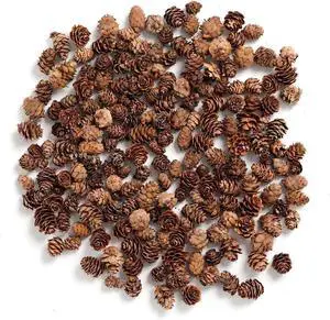 Pine Cones, Mini Pinecones in Bulk for Crafts, 8OZ, Pack of 110 (Natural) Pine Cones, Mini Pinecones in Bulk for Crafts, 8OZ, Pack of 110 (Natural)