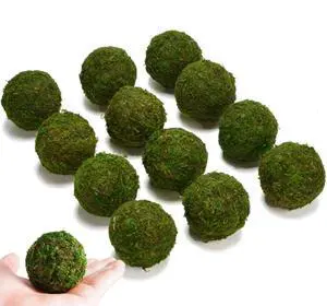 BYHER Natural Green Moss Decorative Ball,Handmade (2"-Set of 12) BYHER Natural Green Moss Decorative Ball,Handmade (2"-Set of 12)