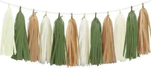 Sage Green Tassel Garland for Woodland Baby Shower Decorations Retro Green Party Safari Birthday Decorations 15PCS Sage Green Tassel Garland for Woodland Baby Shower Decorations Retro Green Party Safari Birthday Decorations 15PCS