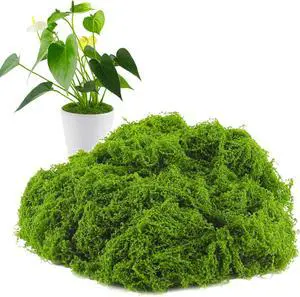 Yomirduy Artificial Moss for Crafts, 5.3OZ Fake Green Moss for Potted Plants, Faux Moss Decor for DIY Decorative, Walls,Table Centerpieces Decor Fairy Garden Model Making (150g) Yomirduy Artificial Moss for Crafts, 5.3OZ Fake Green Moss for Potted Plants, Faux Moss Decor for DIY Decorative, Walls,Table Centerpieces Decor Fairy Garden Model Making (150g)