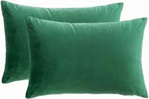 RainRoad Dark Green Throw Pillow Covers 12x20 Inch,Set of 2 RainRoad Dark Green Throw Pillow Covers 12x20 Inch,Set of 2