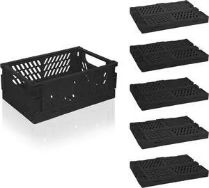 6 Pack Mini Foldable Small Plastic Baskets for Organizing and StorageCollapsible Storage Crates,Mini Bins for Home Kitchen Bedroom Bathroom Office (Black, Small 6x4x2.2) 6 Pack Mini Foldable Small Plastic Baskets for Organizing and StorageCollapsible Storage Crates,Mini Bins for Home Kitchen Bedroom Bathroom Office (Black, Small 6x4x2.2)
