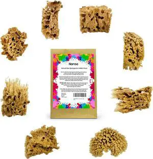 NAROA Artist Natural Sea Sponges for Painting 8 Pack | Unbleached Unique Art Tool Set | Suitable for Acrylic Watercolor, Marbling, Texturing, Pottery, Ceramics NAROA Artist Natural Sea Sponges for Painting 8 Pack | Unbleached Unique Art Tool Set | Suitable for Acrylic Watercolor, Marbling, Texturing, Pottery, Ceramics