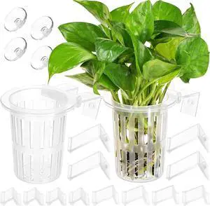 New Upgraded Large Aquarium Plant Holder with 1.57-inch Extension Hooks and Suction Cups for Fish Tank Aquaponic Plant Cultivation and Aquascape Accessories Decorations (2 Pack) Transparent New Upgraded Large Aquarium Plant Holder with 1.57-inch Extension Hooks and Suction Cups for Fish Tank Aquaponic Plant Cultivation and Aquascape Accessories Decorations (2 Pack) Transparent