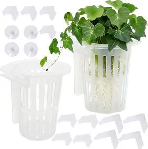 2 Pack Aquarium Plant Holder for Fish Tank with Suction Cup & Ext Hook 2 Pack Aquarium Plant Holder for Fish Tank with Suction Cup & Ext Hook