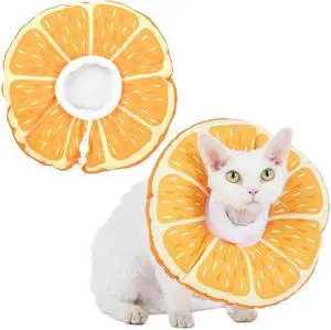 Cat Cone Collar Soft, Medium Waterproof Cat Recovery Collar | Cat Cone for Wound Healing After Surgery or Neutering Alternative to Elizabethan Collars Medical Neck Cone for Cats and Puppi Cat Cone Collar Soft, Medium Waterproof Cat Recovery Collar | Cat Cone for Wound Healing After Surgery or Neutering Alternative to Elizabethan Collars Medical Neck Cone for Cats and Puppi