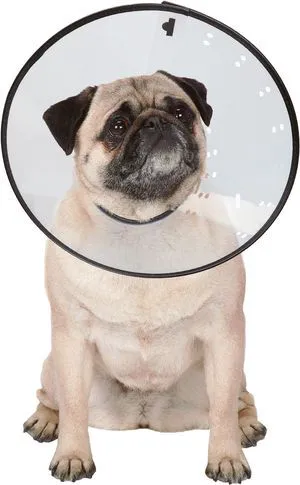 Elizabethan Collars Durable Plastic Collars that Keep Pets from Licking Wounded Areas - X-Small, Clear Elizabethan Collars Durable Plastic Collars that Keep Pets from Licking Wounded Areas - X-Small, Clear