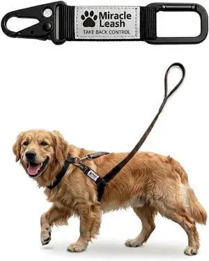 NoPull Dog Leash Attachment, Chest Loop Design | Headcollar alternative without face straps; humane training tool that improves walking control and reduces neck pressure NoPull Dog Leash Attachment, Chest Loop Design | Headcollar alternative without face straps; humane training tool that improves walking control and reduces neck pressure