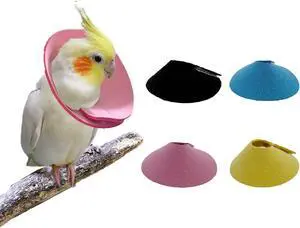 4 Pcs Bird Cone Collar, Pet Parrot Anti-bite Elizabethan Collars, Bird Collars for Feather Plucking for Lovebird Budgerigar Cockatiel Cockatoo Parrots (Mix Colors) 4 Pcs Bird Cone Collar, Pet Parrot Anti-bite Elizabethan Collars, Bird Collars for Feather Plucking for Lovebird Budgerigar Cockatiel Cockatoo Parrots (Mix Colors)
