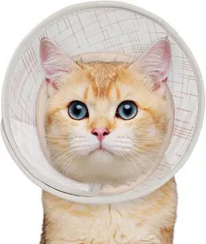 Soft Cat Cone Collar to Stop Licking, Breathable Mesh Cone with Waterproof Liner Recovery Collar, for Kitten, Comfortable Elizabethan Alternative for Spay Neuter Grooming (S) Soft Cat Cone Collar to Stop Licking, Breathable Mesh Cone with Waterproof Liner Recovery Collar, for Kitten, Comfortable Elizabethan Alternative for Spay Neuter Grooming (S)