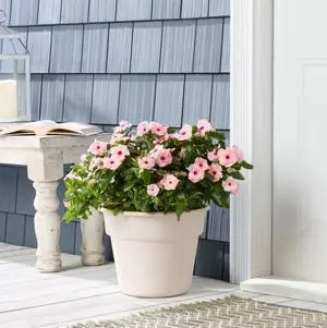 Mainstays Flint Round Resin Planter, Vanilla Dream, 10.5 in H x 13.5 in W x 10.5 in L Mainstays Flint Round Resin Planter, Vanilla Dream, 10.5 in H x 13.5 in W x 10.5 in L