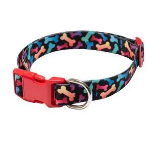Vibrant Life Adjustable Fashion Dog Collar, Multicolor Bones, M Vibrant Life Adjustable Fashion Dog Collar, Multicolor Bones, M
