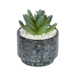 Mainstays Artificial Crassula Ovata Succulent Plant, 3.9 in, Teal Ceramic Pot Mainstays Artificial Crassula Ovata Succulent Plant, 3.9 in, Teal Ceramic Pot