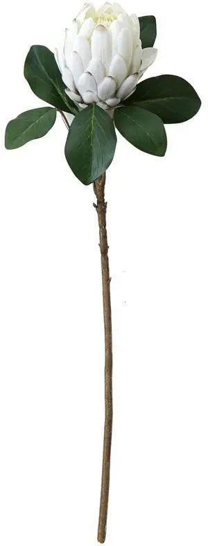 Mainstays 26.5"L Artificial Indoor Silk Protea Stem Mainstays 26.5"L Artificial Indoor Silk Protea Stem