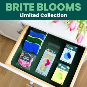 Scotch-Brite Brite Blooms Collection, 2 Extra Gentle Scrub Sponges and 4 Dobie Non-Scratch Sponges Scotch-Brite Brite Blooms Collection, 2 Extra Gentle Scrub Sponges and 4 Dobie Non-Scratch Sponges