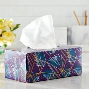 Great Value Ultra Soft Facial Tissues, 4 Flat Cartons, 120 Tissues per Carton, 3-Ply, Compare to Kleenex® Great Value Ultra Soft Facial Tissues, 4 Flat Cartons, 120 Tissues per Carton, 3-Ply, Compare to Kleenex®