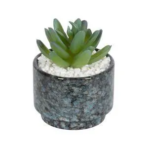 Mainstays Artificial Crassula Ovata Succulent Plant, 3.9 in, Teal Ceramic Pot Mainstays Artificial Crassula Ovata Succulent Plant, 3.9 in, Teal Ceramic Pot
