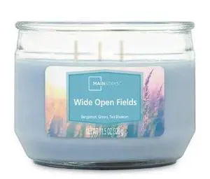 Mainstays Wide Open Fields 3-Wick Candle, 11.5 oz Mainstays Wide Open Fields 3-Wick Candle, 11.5 oz
