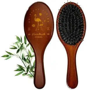 Boar & Nylon Bristle Hair Brush for Women, Brown Natural No Shampoo Hair Brush for Dry & Fine Hair A Boar & Nylon Bristle Hair Brush for Women, Brown Natural No Shampoo Hair Brush for Dry & Fine Hair A
