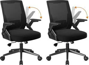 Office Chair with Flip-up Armrests Ergonomic Computer Desk Chair with Adaptive Lumbar Support & Breathable Mesh, Black, Pack of 2 Office Chair with Flip-up Armrests Ergonomic Computer Desk Chair with Adaptive Lumbar Support & Breathable Mesh, Black, Pack of 2