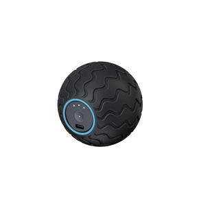 Therabody WaveSolo - Handheld Bluetooth Enabled Massage Device, Ultra Portable Vibration Therapy Ball w/QuietRoll Technology & 3 Customizable Vibration Frequencies Therabody WaveSolo - Handheld Bluetooth Enabled Massage Device, Ultra Portable Vibration Therapy Ball w/QuietRoll Technology & 3 Customizable Vibration Frequencies
