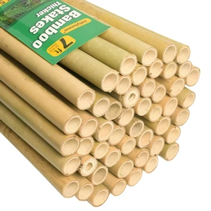 3/4" D 7 Feet Bamboo Stakes 50 Pack, Thicker Heavy-Duty Plant Stakes, Natural Garden Stakes for Bean, Tomato, Bean, Flowers,Trees Potted and Climbing Plant Support 3/4" D 7 Feet Bamboo Stakes 50 Pack, Thicker Heavy-Duty Plant Stakes, Natural Garden Stakes for Bean, Tomato, Bean, Flowers,Trees Potted and Climbing Plant Support