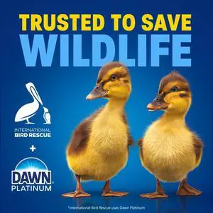 Dawn Ultra, Refill Jug Dish Soap Apple Blossom, 67oz Dawn Ultra, Refill Jug Dish Soap Apple Blossom, 67oz