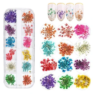 KINGMAS 12 Colors Dried Flowers for Nail Art, Dry Flowers Natural Flowers KINGMAS 12 Colors Dried Flowers for Nail Art, Dry Flowers Natural Flowers