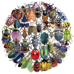 50pcs Transparent Vintage Insect Stickers for Kids,Lifelike Insect Sticker Waterproof PET Stickers for Scrapbook Journaling Photo Album Collage Card Nature Sticker for Teens and Adults 50pcs Transparent Vintage Insect Stickers for Kids,Lifelike Insect Sticker Waterproof PET Stickers for Scrapbook Journaling Photo Album Collage Card Nature Sticker for Teens and Adults