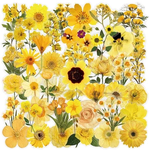 50pcs Transparent Yellow Flower Stickers for Scrapbooking Water Bottles Laptop Journaling,Cartoon Floral Sticker for Teens Planners,Cards,Gifts,Crafts,Art Projects,Glass Potion Bottles(Flower-C) 50pcs Transparent Yellow Flower Stickers for Scrapbooking Water Bottles Laptop Journaling,Cartoon Floral Sticker for Teens Planners,Cards,Gifts,Crafts,Art Projects,Glass Potion Bottles(Flower-C)