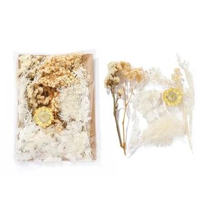 Real Dried Flowers for Crafts, Natural Dry Flowers for Crafts Mixed Natural Pressed Flowers, Small Dried Flowers for Resin Dry Flowers for Candle Making (White 2) Real Dried Flowers for Crafts, Natural Dry Flowers for Crafts Mixed Natural Pressed Flowers, Small Dried Flowers for Resin Dry Flowers for Candle Making (White 2)