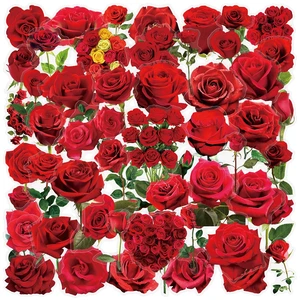 50PCS Rose Floral Stickers, Red Plants Decals Clear PET Rose Aesthetic Waterproof Transparent Stickers for Scrapbooking Journaling Junk Journal Scrapbook Supplies Resin Crafts Decorative (red Rose) 50PCS Rose Floral Stickers, Red Plants Decals Clear PET Rose Aesthetic Waterproof Transparent Stickers for Scrapbooking Journaling Junk Journal Scrapbook Supplies Resin Crafts Decorative (red Rose)