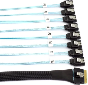 cablecc SAS 4.0 Slimline SFF-8654 8i 74pin Host Raid to 7pin 8 SATA Target Hard Disk Fanout Raid Cable 1-to-8 Splitter 50CM cablecc SAS 4.0 Slimline SFF-8654 8i 74pin Host Raid to 7pin 8 SATA Target Hard Disk Fanout Raid Cable 1-to-8 Splitter 50CM