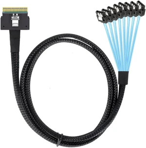 chenyang SlimSAS Host/RAID to SATA Target Cable,Slim SAS 4.0 SFF-8654 8i 74Pin 1 to 8 SATA 7Pin Raid Controller/Hard Drive Cable 3.28FT/1.0M chenyang SlimSAS Host/RAID to SATA Target Cable,Slim SAS 4.0 SFF-8654 8i 74Pin 1 to 8 SATA 7Pin Raid Controller/Hard Drive Cable 3.28FT/1.0M