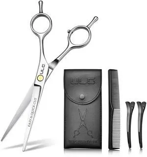 Professional 6" Hair Cutting Scissors Kit, Silver | Sharp Stainless Hair Scissors Set with Comb, Leather Case and Clips, Salon-Quality Scissors for Barbers & Home Use, Silver Professional 6" Hair Cutting Scissors Kit, Silver | Sharp Stainless Hair Scissors Set with Comb, Leather Case and Clips, Salon-Quality Scissors for Barbers & Home Use, Silver