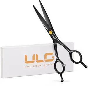 Hair Cutting Scissors, Professional Hair Scissors 6.5 Right-Hand Razor Edge Barber Shears Salon Hair Cutting Shears Made of Japanese Stainless Steel, Hand Sharpened Black Hair Cutting Scissors, Professional Hair Scissors 6.5 Right-Hand Razor Edge Barber Shears Salon Hair Cutting Shears Made of Japanese Stainless Steel, Hand Sharpened Black