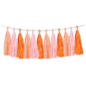 15PCS Pink Orange Peach DIY Tissue Tassel Garland Groovy Retro Party Tassel Banner Bunting Streamer for Girl Baby Shower Groovy Halloween Birthday Bridal Shower Nursery Classroom Wall Hanging Décor 15PCS Pink Orange Peach DIY Tissue Tassel Garland Groovy Retro Party Tassel Banner Bunting Streamer for Girl Baby Shower Groovy Halloween Birthday Bridal Shower Nursery Classroom Wall Hanging Décor