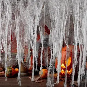 200" x 59" Halloween Spooky Cloth - Creepy Spooky Halloween Decorations - Large Size Scary Creepy Gauze for Halloween Party Supplies Stairway Window Table Doorways Decor 200" x 59" Halloween Spooky Cloth - Creepy Spooky Halloween Decorations - Large Size Scary Creepy Gauze for Halloween Party Supplies Stairway Window Table Doorways Decor